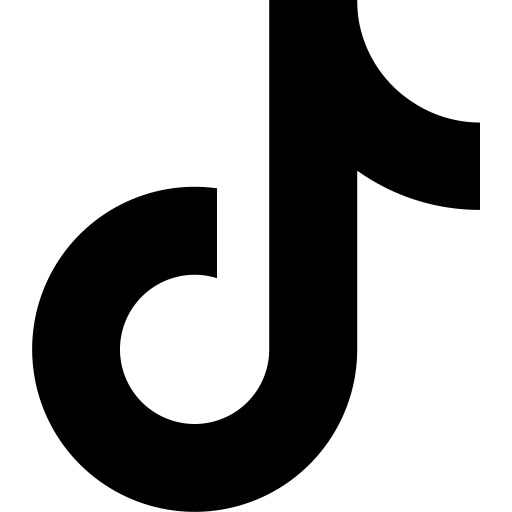 tiktok icon