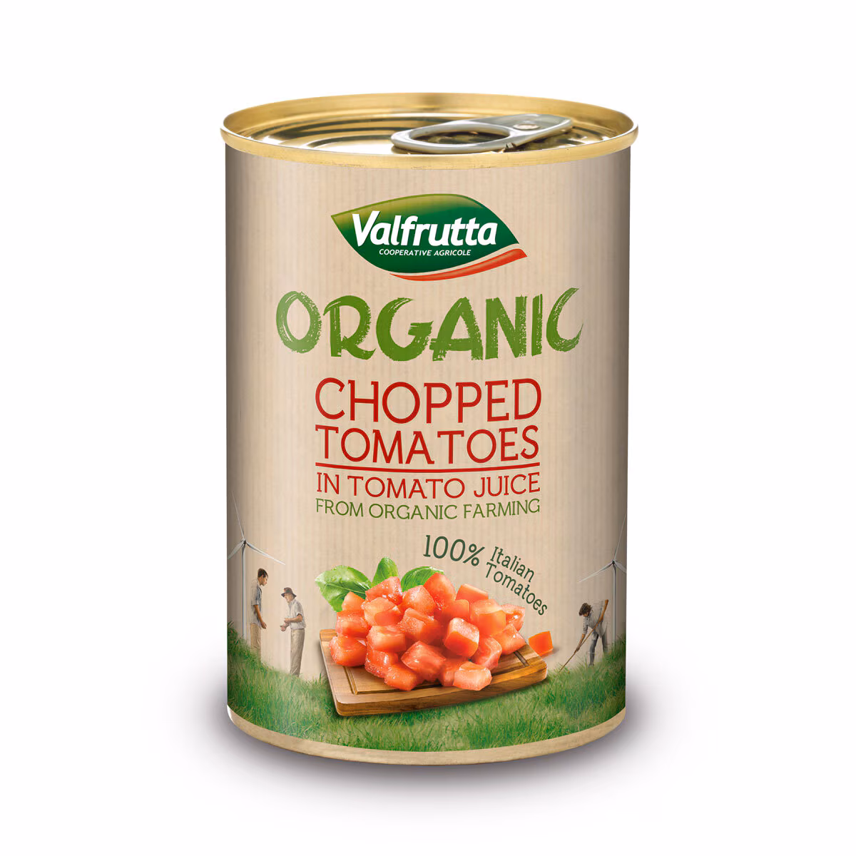 VALFRUTA CHOPPED ORGANIC PEELED TOMATO 400G