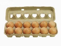 12 EGG CARTON